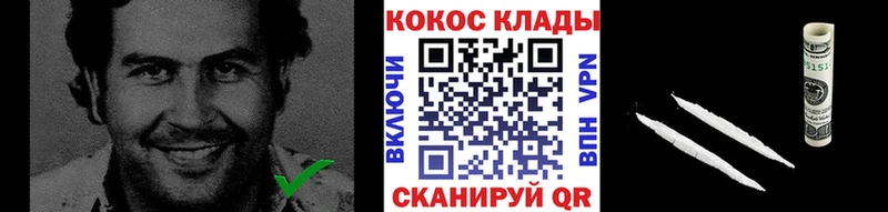 Cocaine Fish Scale  Купить закладки  Гуково 