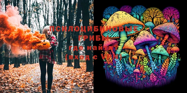 таблы Верхний Тагил