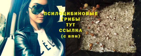 ECSTASY Бронницы