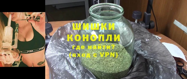 прущие грибы Бородино
