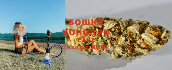 прущие грибы Бородино