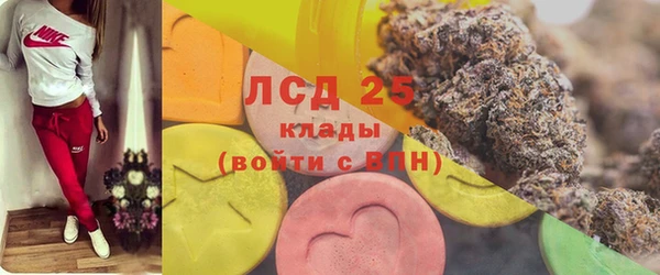 мдпв Верея