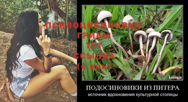 ECSTASY Бронницы