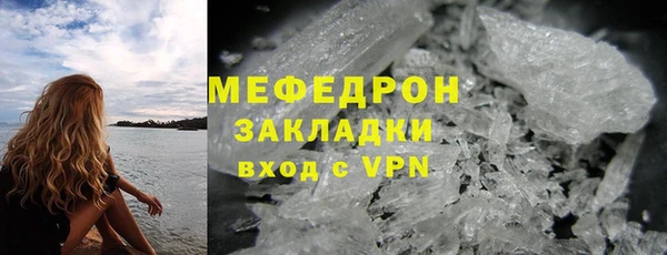 прущие грибы Бородино