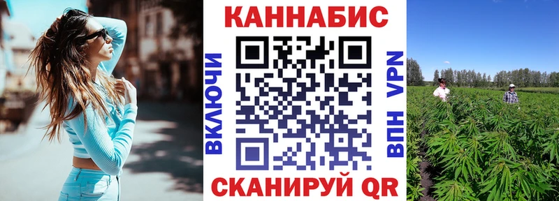 Конопля сатива  Купить  Гуково 